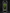 Monster Energy Import [550ml]