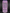 2026 Monster Energy Ultra Wild Passion [473ml] Colored Top