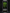 Black Monster Energy OG Apex Legends (Russia) [449ml]