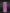 MONSTER ENERGY ULTRA FANTASY RUBY RED (Nederland) [500ml]