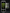 Monster Energy OG Kontra K Konzert (Germany) [500ml]